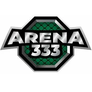 arena333 APK Casual