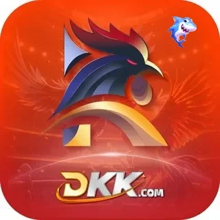 dkk